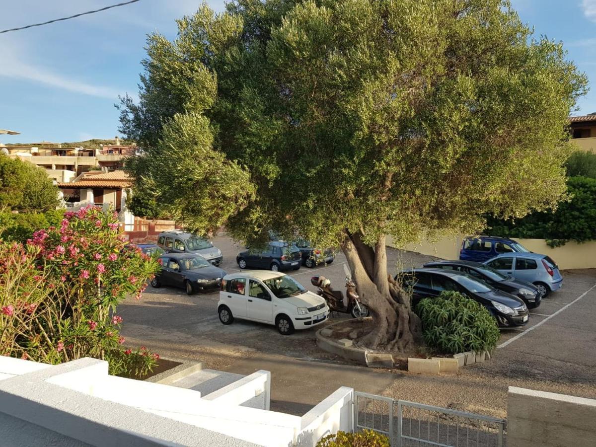 B&B Unique Art Santa Teresa Gallura Eksteriør billede